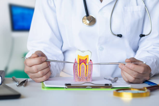 Best After-Hours Emergency Dentist in Bluffton, IN